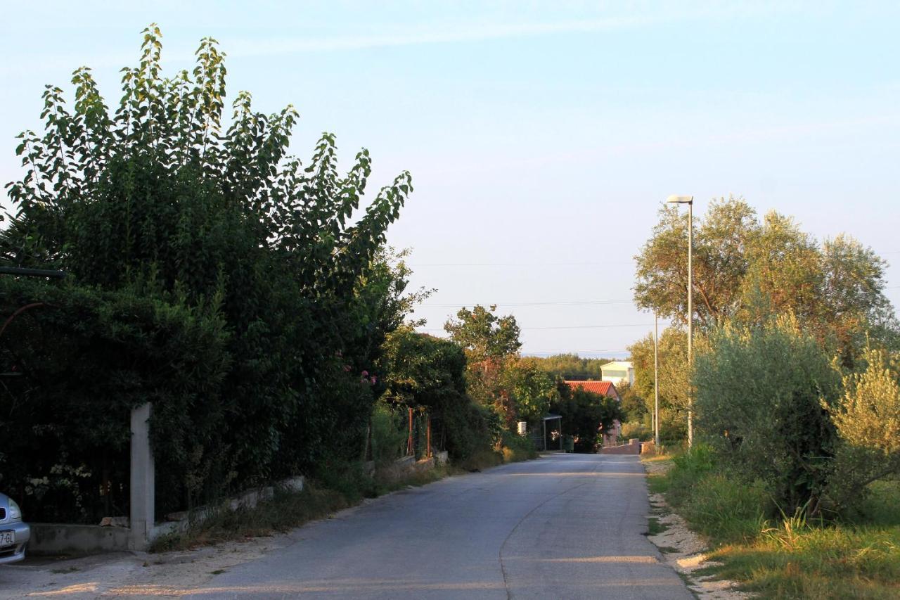 Fratrici 14384b